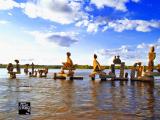 WATER CIRCUS
