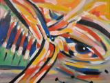 2012 fisheye 301 16"x20"