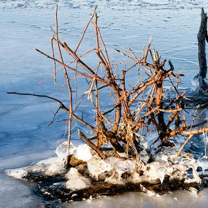18dec20_floating ice island