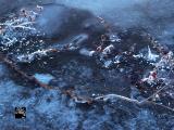 water tree ice balance dec 2012