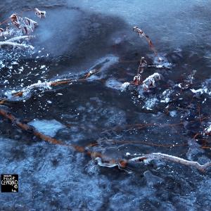 water tree ice balance dec 2012