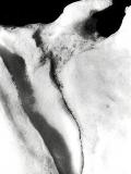 ice snowbird 1989