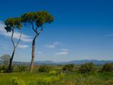 Monterotondo 2012