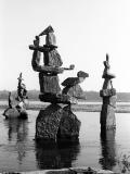 birds of balance