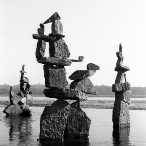 birds of balance