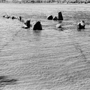 1986_reflex balance 