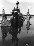 1987_olies of balance