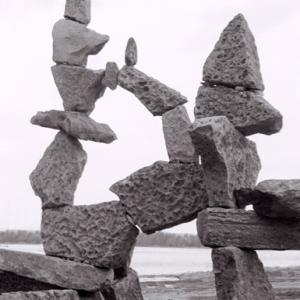 1991 uncemented balance power horse
