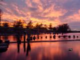 10nov22_SHINING Sunset 