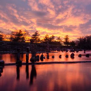 10nov22_SHINING Sunset 