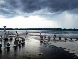 03aug24_alignment by nature