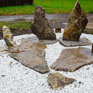 Falcon Wings on Turtle Island 