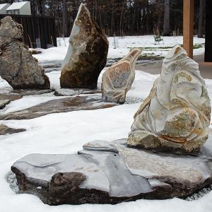 Turtle Island Spirits 