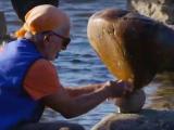 video-clip-Remic Rapids, Sept 2020